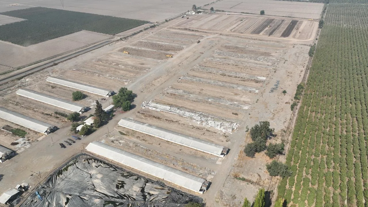 Grupo de crianza broiler Arboleda