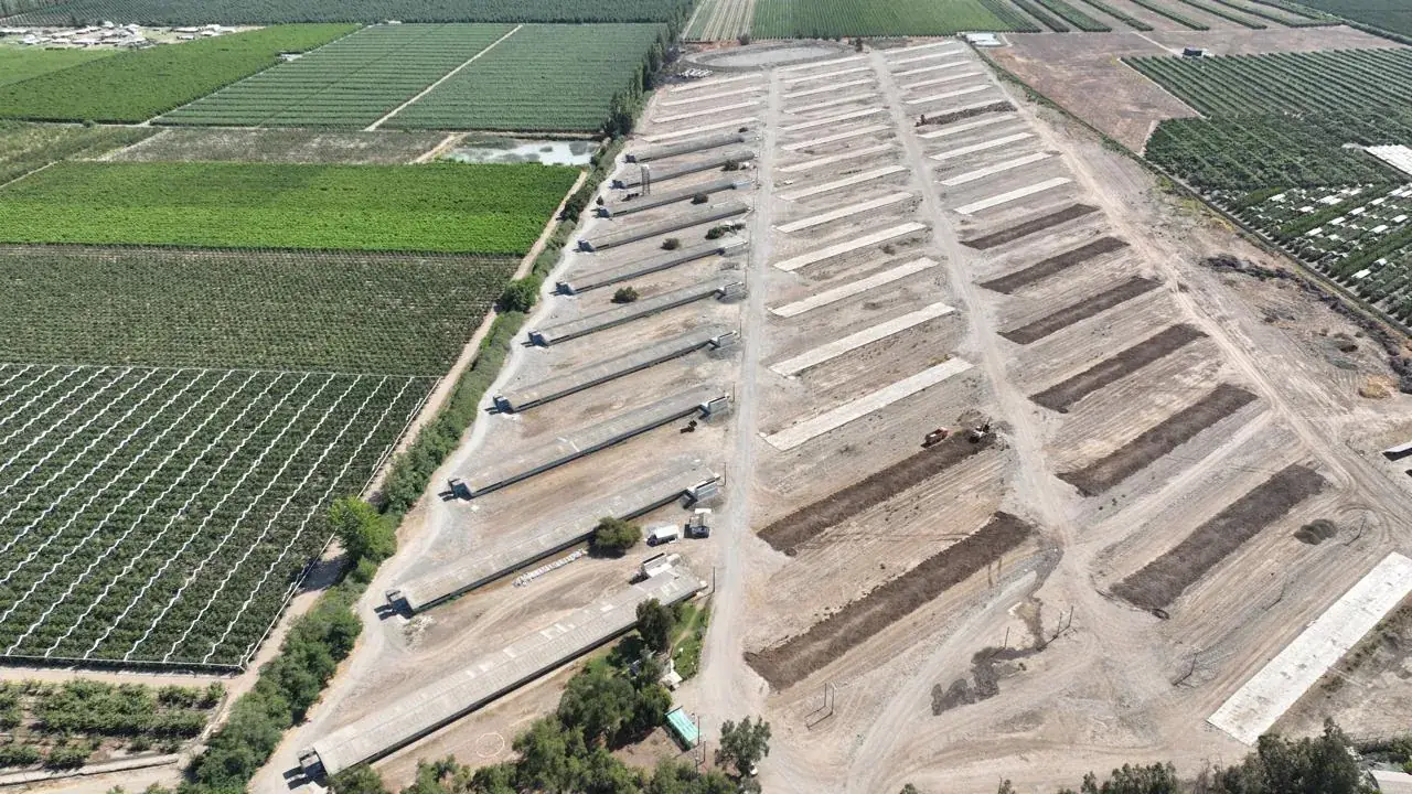 Grupo de crianza broiler Esmeralda — fotografía 4