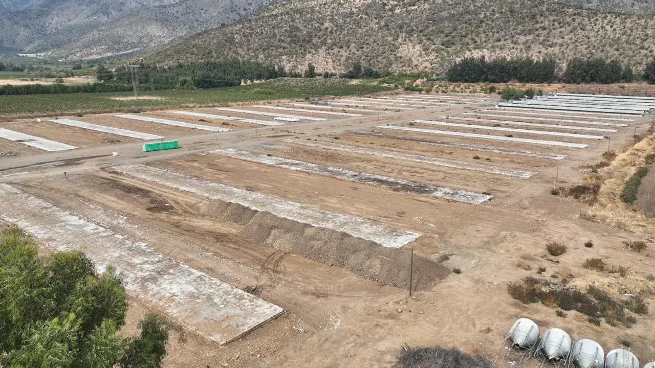 Demolición, grupos de crianza broiler Quisco, Quillayes y Arboleda